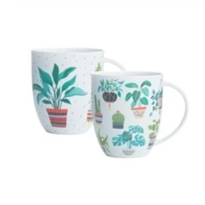 Price & Kensington China Mug Plants