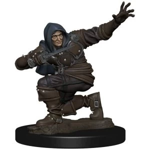 Pathfinder Battles - Male Human Rogue Pre-painted Figure