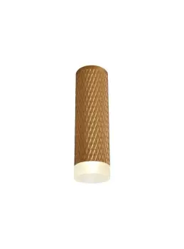 1 Light 20cm Surface Mounted Ceiling GU10, Champagne Gold, Acrylic Ring