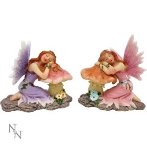 Delicate Dreams Fairy Figurines