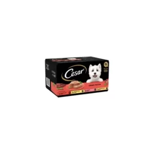 Cesar Country Kitchen Dog Trays Special Selection in Gravy 8x150g