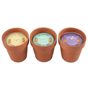 Fragranced Flower Pot Candle Pack Of 12