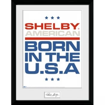 Shelby - Born In The USA Collector Print