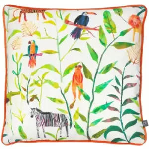 Prestigious Textiles - Hide and Seek 100% Cotton Piped Edge Cushion Cover, Jungle, 43 x 43 Cm