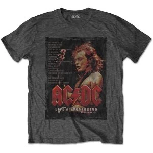 AC/DC - Donington Set Unisex Medium T-Shirt - Grey