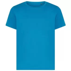 Ecologie Childrens/Kids Cascades Organic T-Shirt (12-13 Years) (Ink Blue)