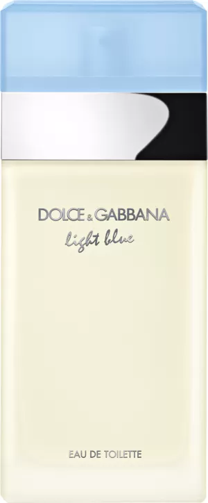 Dolce & Gabbana Light Blue Eau de Toilette For Her 100ml