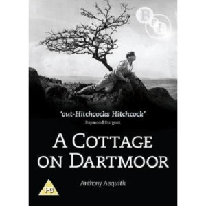 A Cottage On Dartmoor DVD