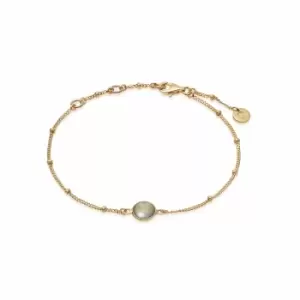 Daisy London Jewellery 18ct Gold Plated Sterling Silver Labradorite Healing Stone Bobble Bracelet 18Ct Gold Plate