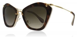 Miu Miu Noir Sunglasses Tortoise HAH1X1 55mm
