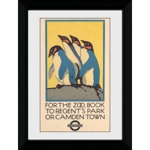 Transport For London Zoo 50 x 70 Framed Collector Print