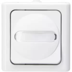 Kopp 560602007 1 Piece Wet room switch product range Complete Circuit breaker, Toggle switch BlueElectric Arctic white