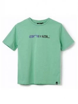 Animal Boys Sketchy Short Sleeve T-Shirt - Green, Size 7-8 Years