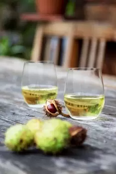 Riedel O Wine Tumbler Viognier/Chardonnay, Set Of 2