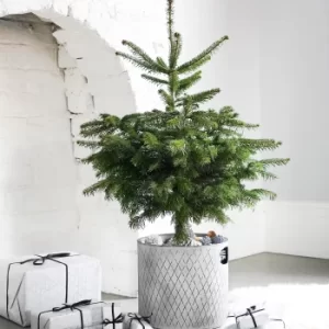 Indoor Zinc Christmas Tree Bucket 23cm Zinc