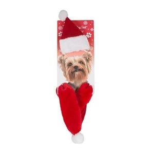 Dog Christmas Hat & Scarf