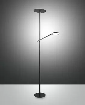 Regina LED Integrated Floor Lamp Black Glass