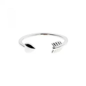 Ted Baker Ladies PVD Silver Plated Ring