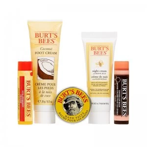 Burt's Bees Natural Lips to Tips Kit