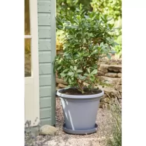 Clever Pots Charcoal Coloured Round Plant Pot 40cm - wilko - Garden & Outdoor