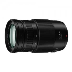 Panasonic H FSA100300 100-300mm f/4.0-5.6 Lens