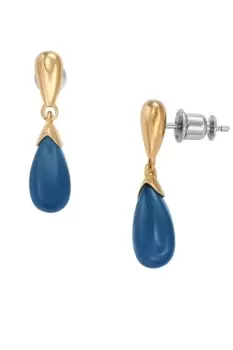 Ladies Skagen Jewellery Sea Glass Earrings