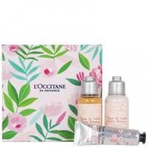 L'Occitane Gifts Beauty Blossom Collection