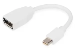 Digitus DisplayPort adapter cable, mini DP - DP