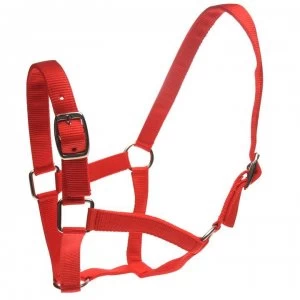 Roma Headcollar and Lead Rope Set - Red