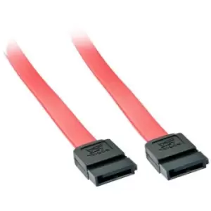 LINDY Hard drives Cable [1x SATA plug 7-pin - 1x SATA plug 7-pin] 0.50 m Red