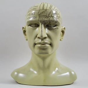 Phrenology Head Sculpture H20cm