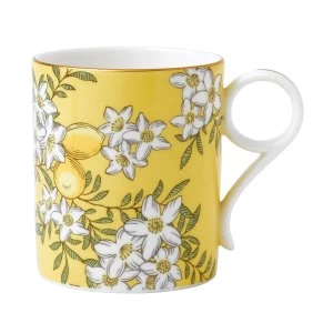 Wedgwood Tea garden lemon ginger mug