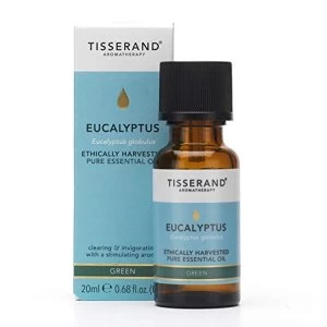Tisserand Aromatherapy Eucalyptus Essential Oil Ethically Harvested 20ml