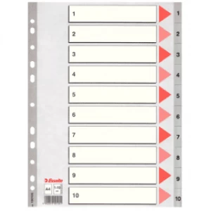 Esselte 100105 A4 Plastic Dividers Grey with 10 Tabs (11 holes)