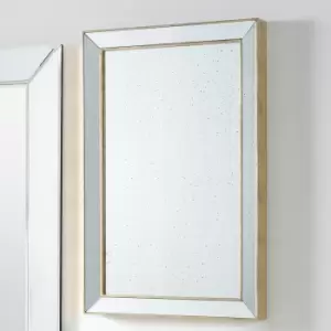 Antique Gold Effect Metal and Foxed Glass Rectangular Mirror 60 x 90cm Silver