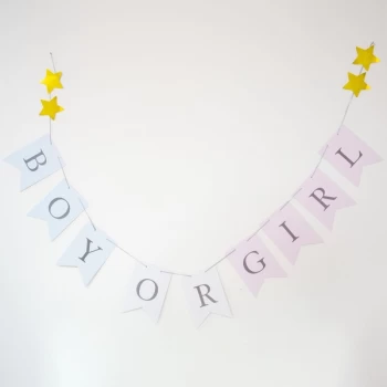 Bambino Gender Reveal Bunting - Boy or Girl