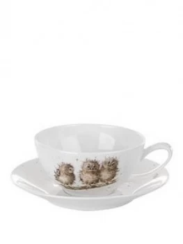 Royal Worcester Wrendale Owls Cup And Saucer