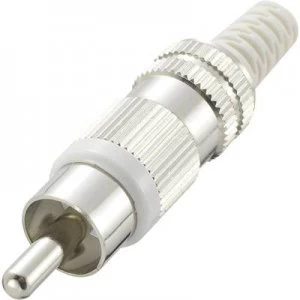 RCA connector Plug straight Number of pins 2 White Conrad Components