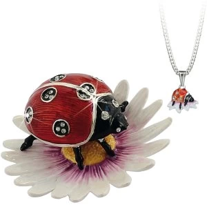 Secrets from Hidden Treasures Ladybird