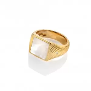 Calm Pearl Signet Ring DR249