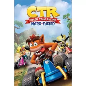 Crash Bandicoot Poster CTR 202
