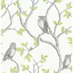Woodland Trees Wallpaper Birds Owls Forest Green / Silver - FD40637 - Fine Decor