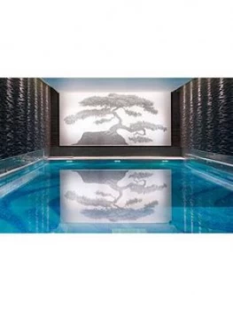 Virgin Experience Days Luxury Spa Day At The 5* Langham Hotel With Lunch And Wine At Roux At The Landau London For Two