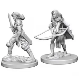 Pathfinder Deep Cuts Unpainted Miniatures (W1) Human Female Fighter