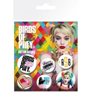 Birds of Prey Mix Badges (Pack Of 6)