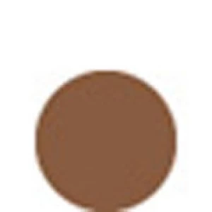 Shiseido Perfect Refining Foundation (30ml) - D20 Very Righ Brown