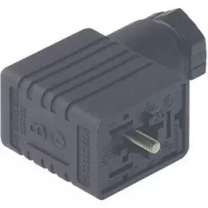 Hirschmann 934 456-100-1 GM 216 NJ Cable Socket, Freely Configurable Black Number of pins:2 + PE