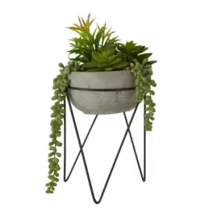 Interiors By Premier Mixed Succulent Grey Cement Pot with a Metal Stand
