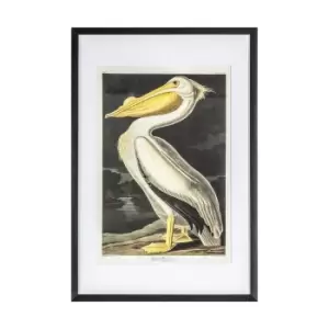 61 x 91cm Vintage Pelican Framed Art