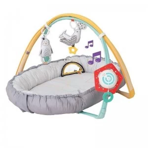 Taf Toys Musical Newborn Nest Gym